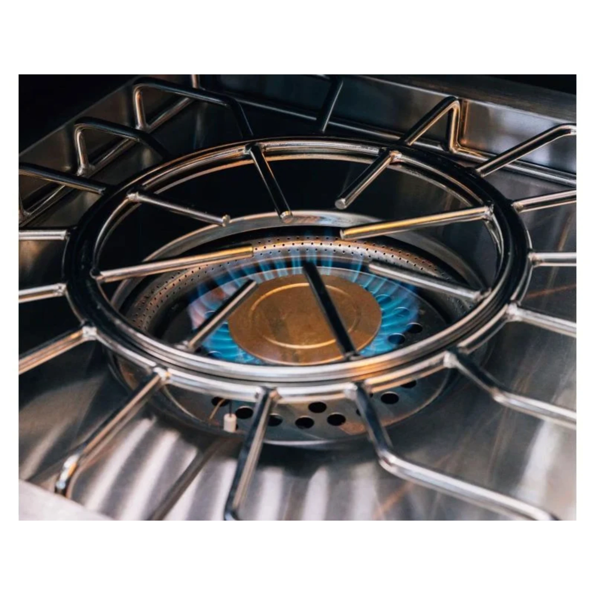 American Made Grills Alturi Gas Power Burner | Novaselectes