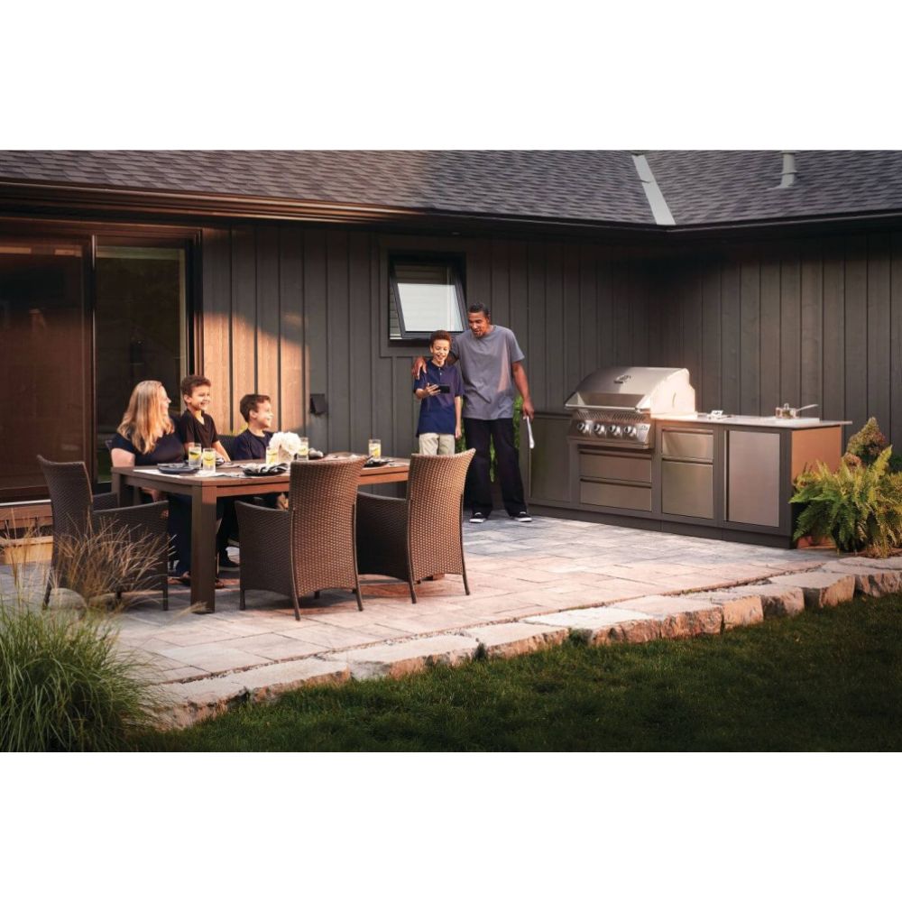 Napoleon Built-in 500 Series 4-Burner Gas Grill