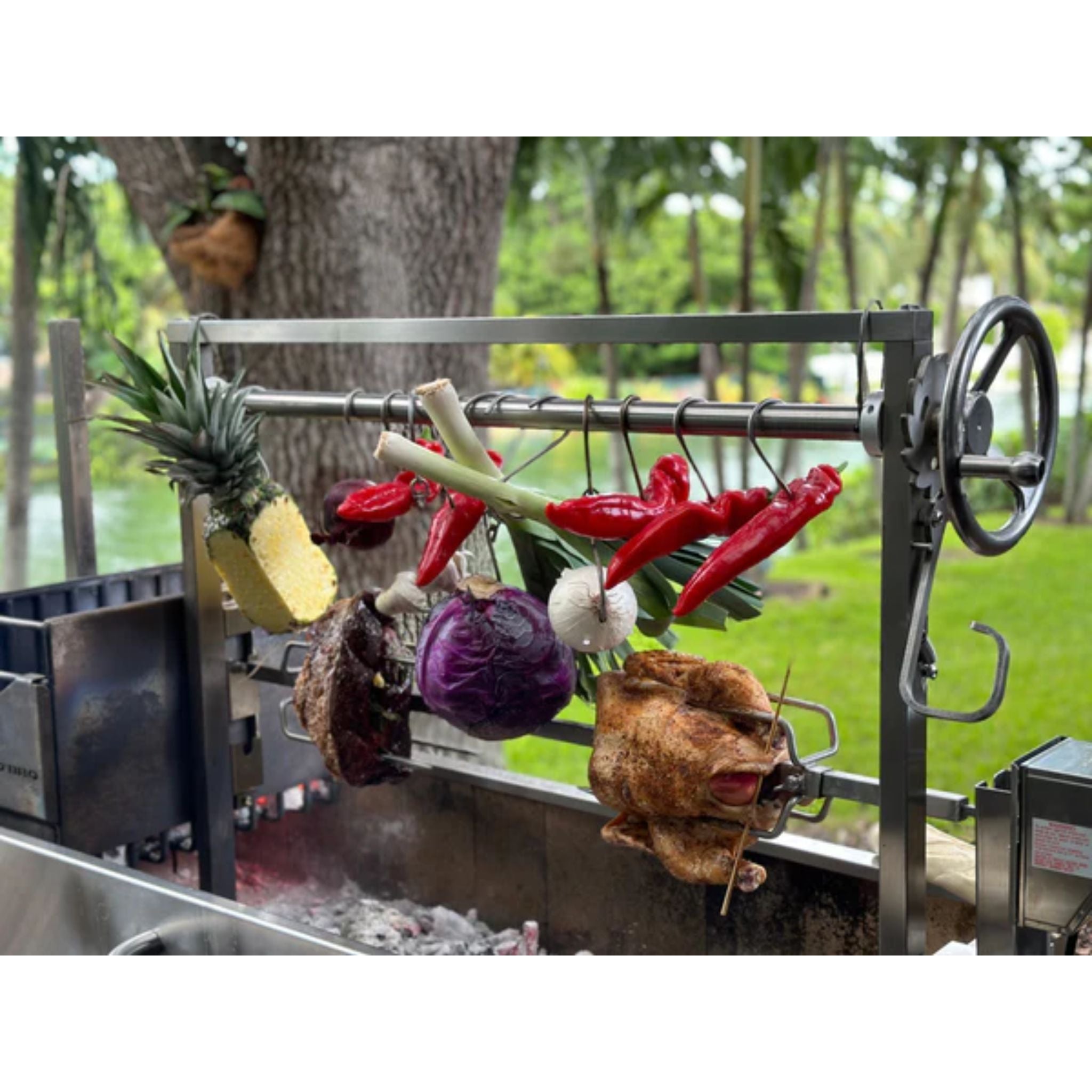 Tagwood BBQ50SS BBQ Stainless Steel Rotisserie Kit | Novaselectes