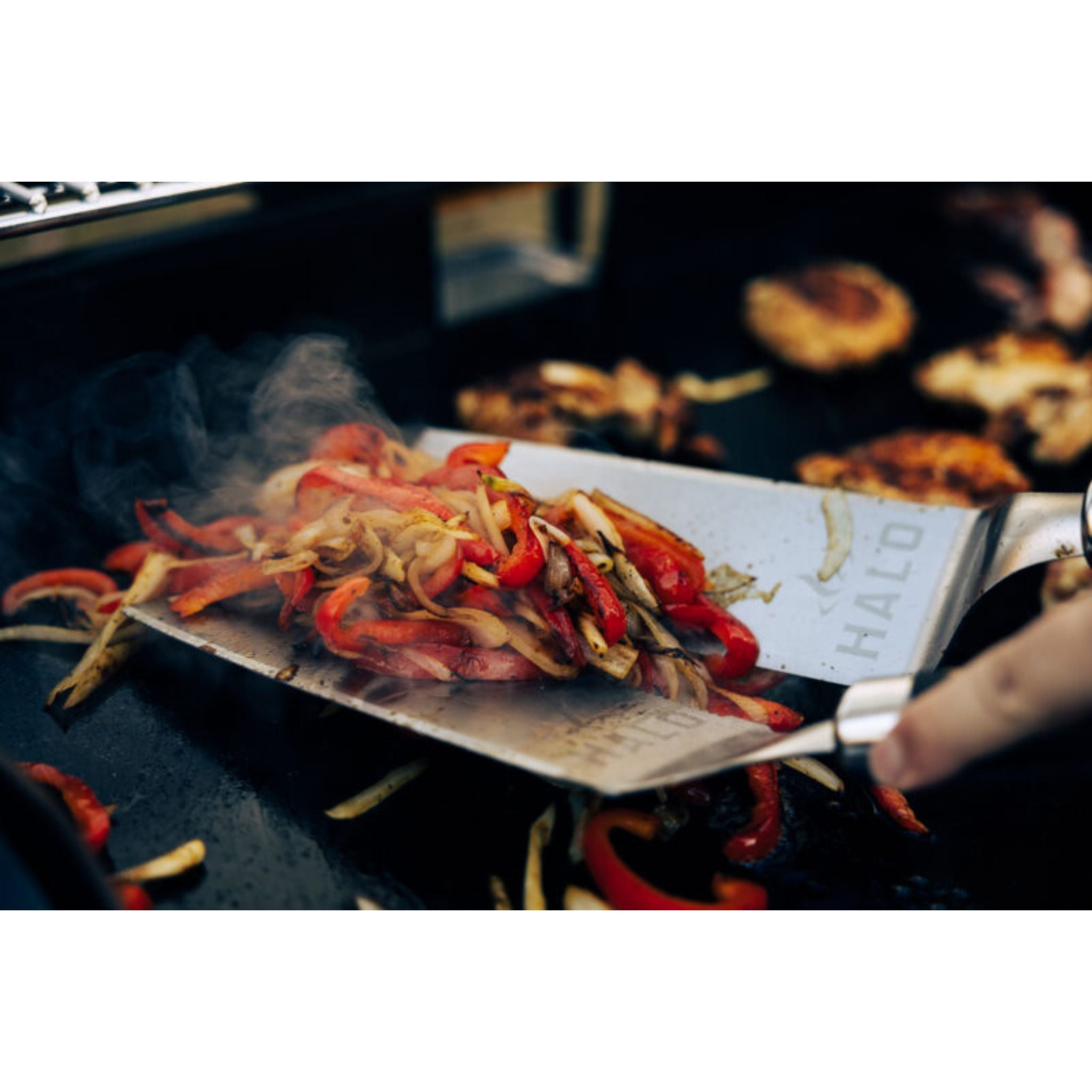 Halo HZ-3025 Elite Griddle Kit | Novaselectes