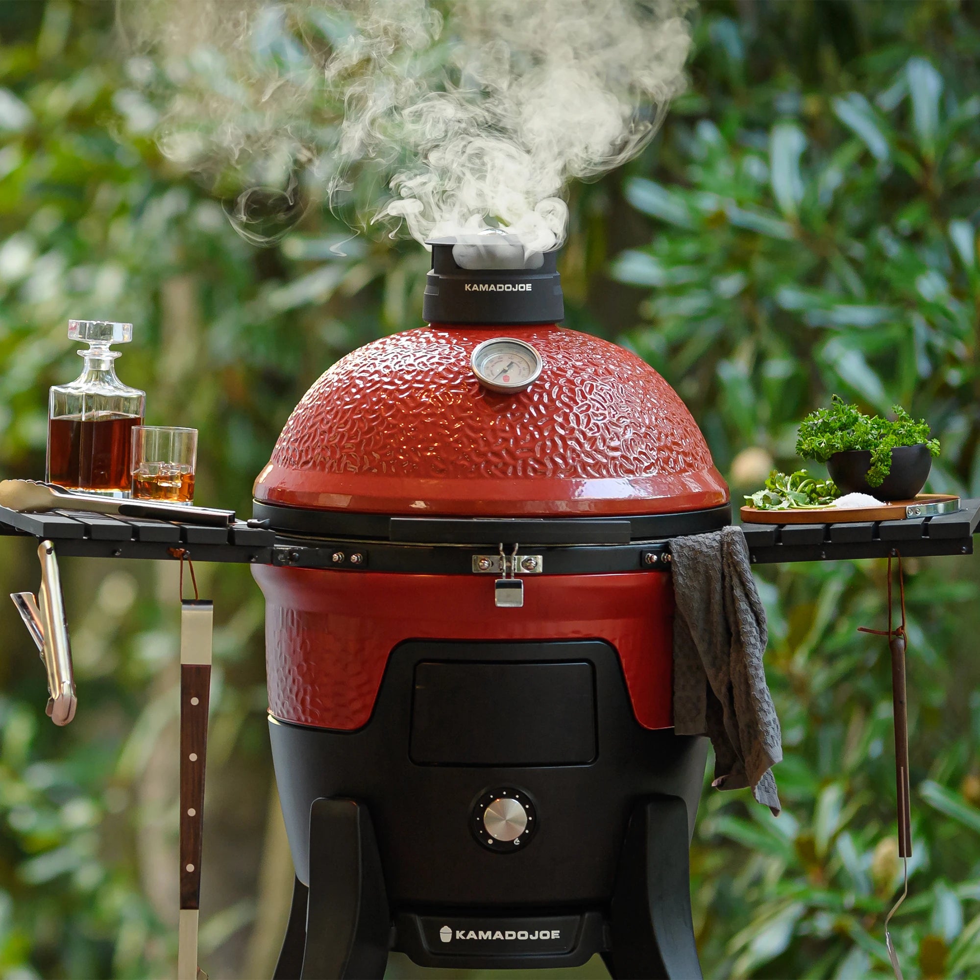 Kamado Joe Pellet Joe Kamado Grill | Novaselectes