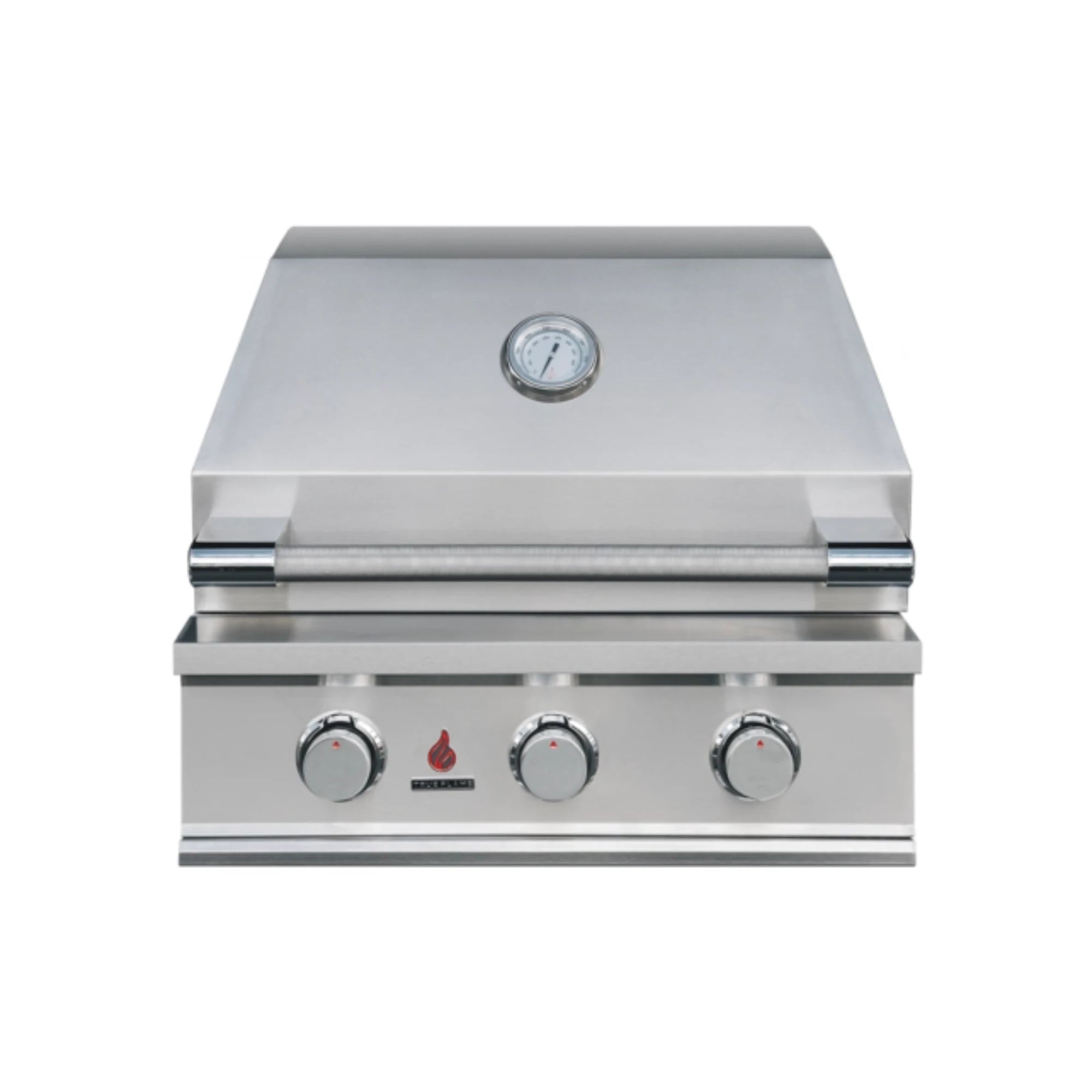 TrueFlame TFE 25-Inch Built-In Gas Grill | Novaselectes