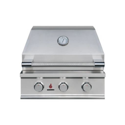 TrueFlame TFE 25-Inch Built-In Gas Grill | Novaselectes
