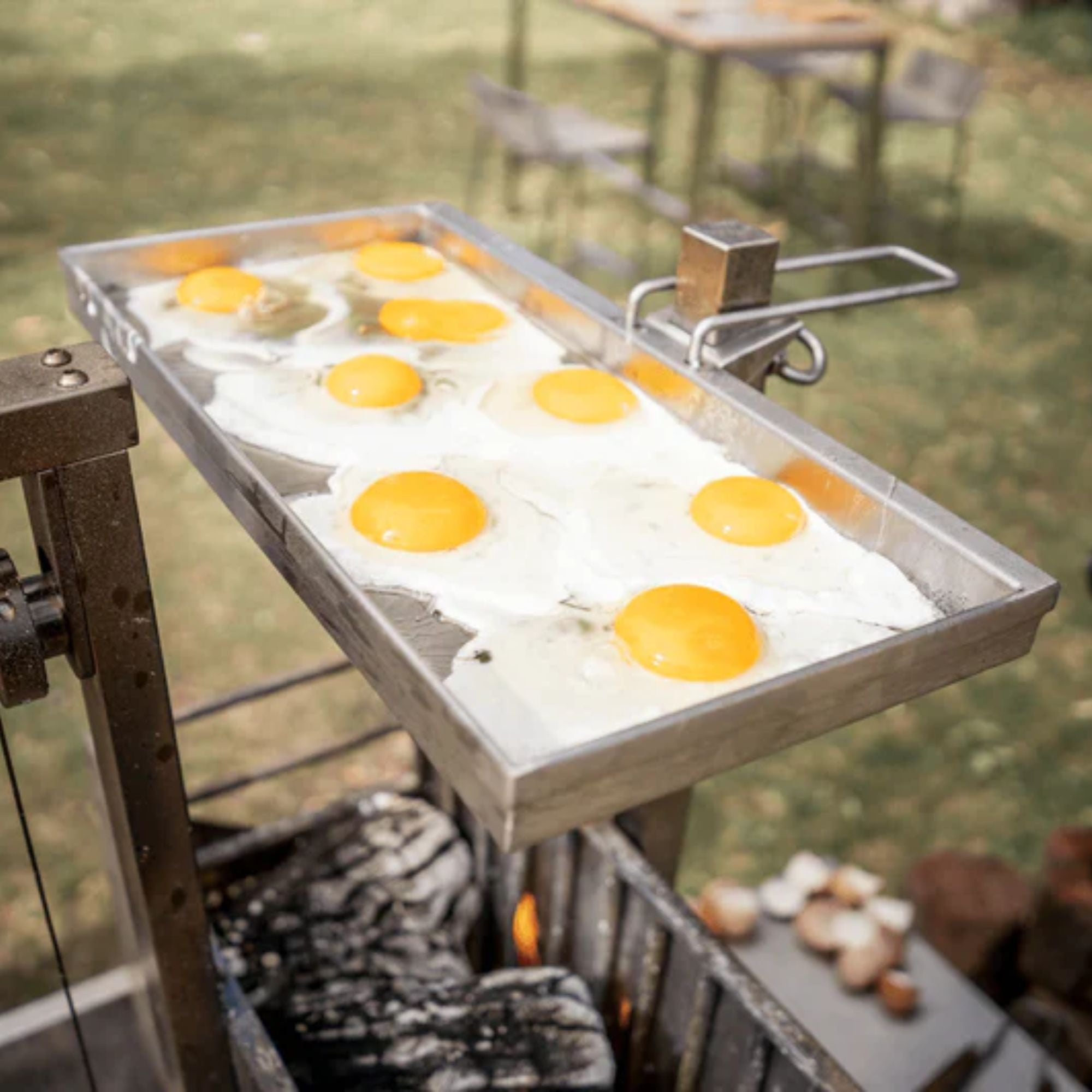 Tagwood GRD86SS BBQ Height Adjustable Griddle | Novaselectes