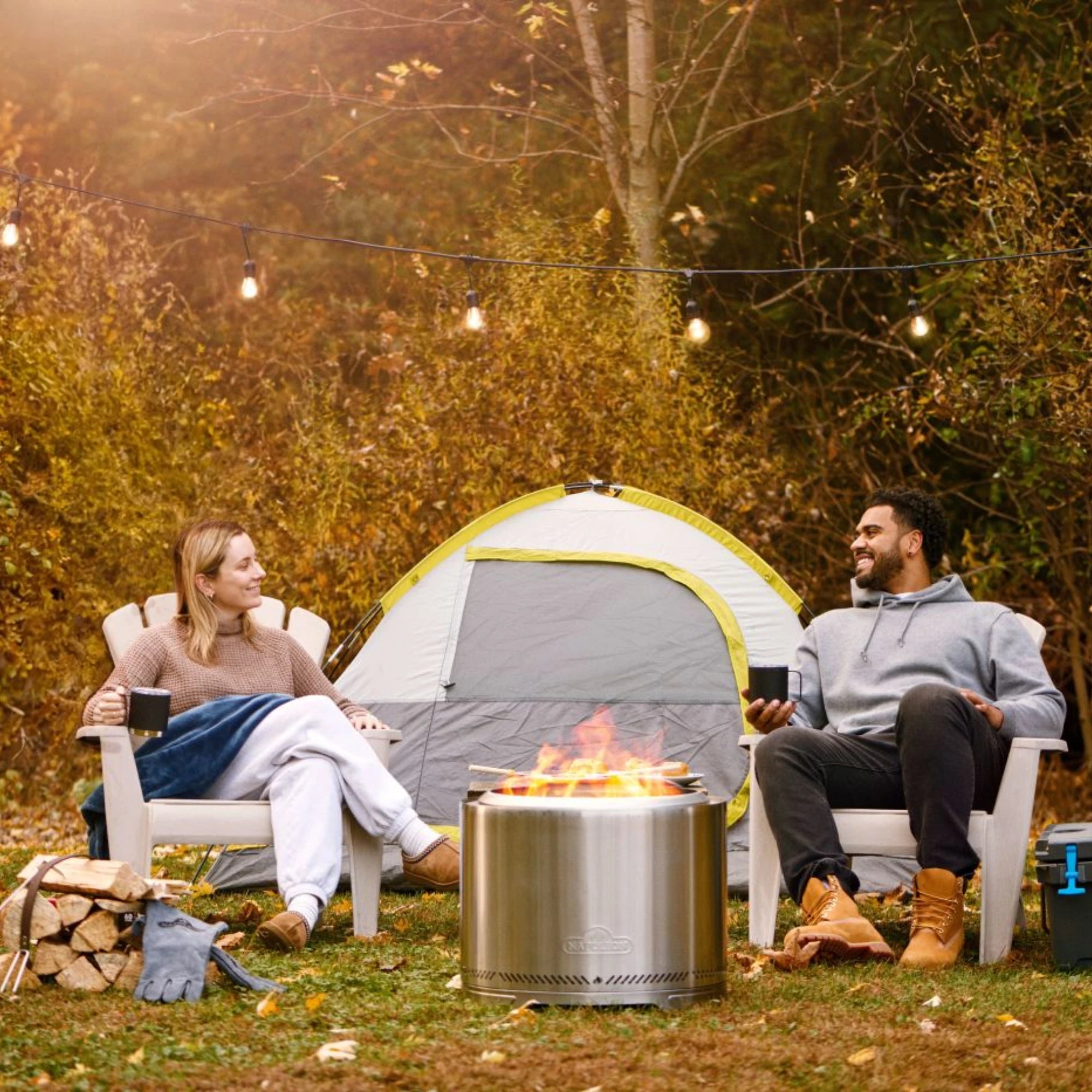 Napoleon Timberwolf 22-Inch Stainless Steel Smokeless Fire Pit | Novaselectes