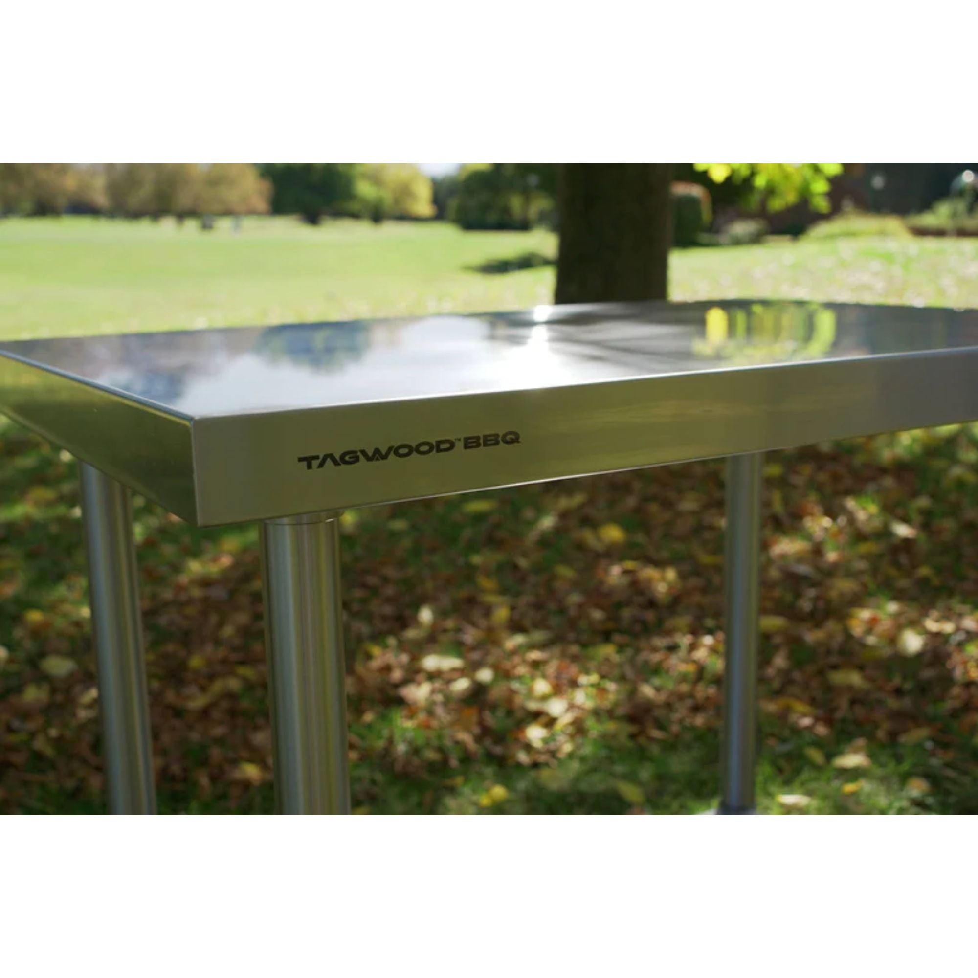 Tagwood BBQ10SS Stainless Steel Working Table | Novaselectes