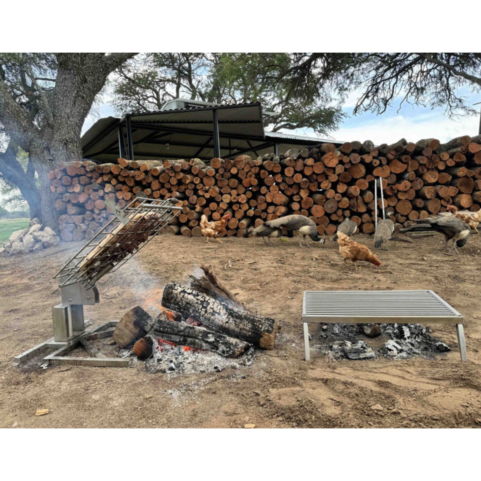 Tagwood BBQ93SS Portable fixed Charcoal grill | Novaselectes