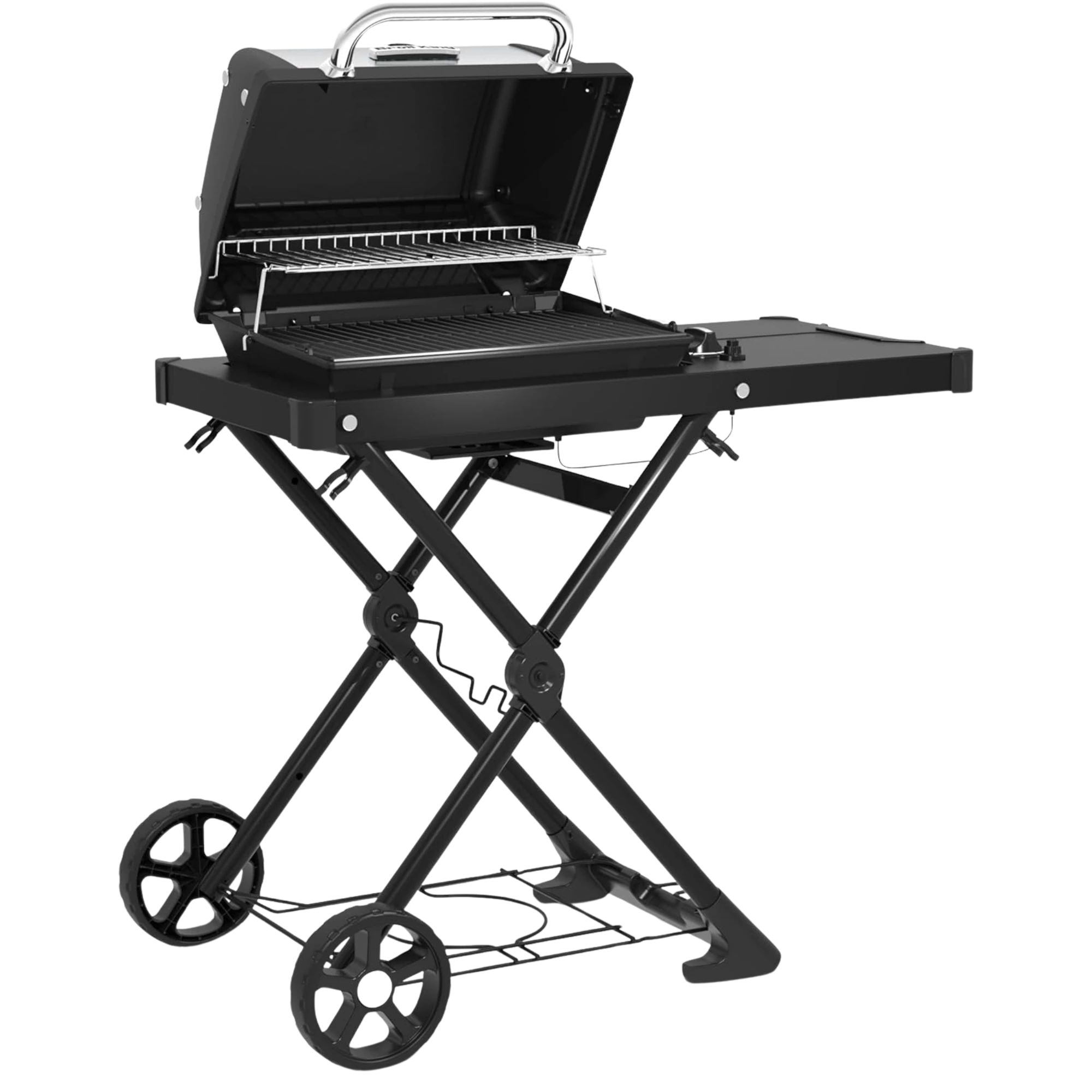 Broil King Porta Chef AT220 2 Burner Propane Gas Portable Grill | Novaselectes