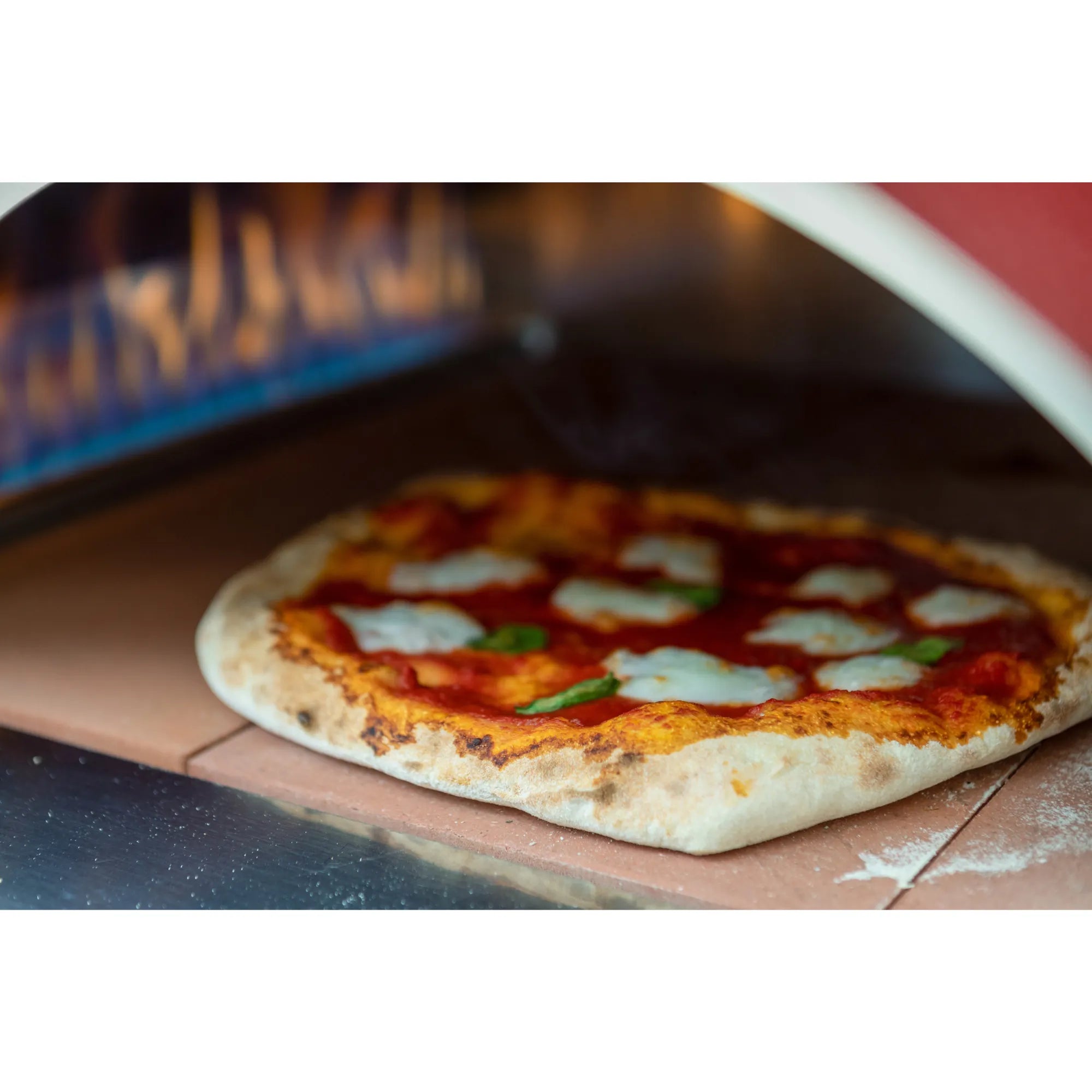 Alfa Moderno 3 Pizze Gas Pizza Oven | Novaselectes