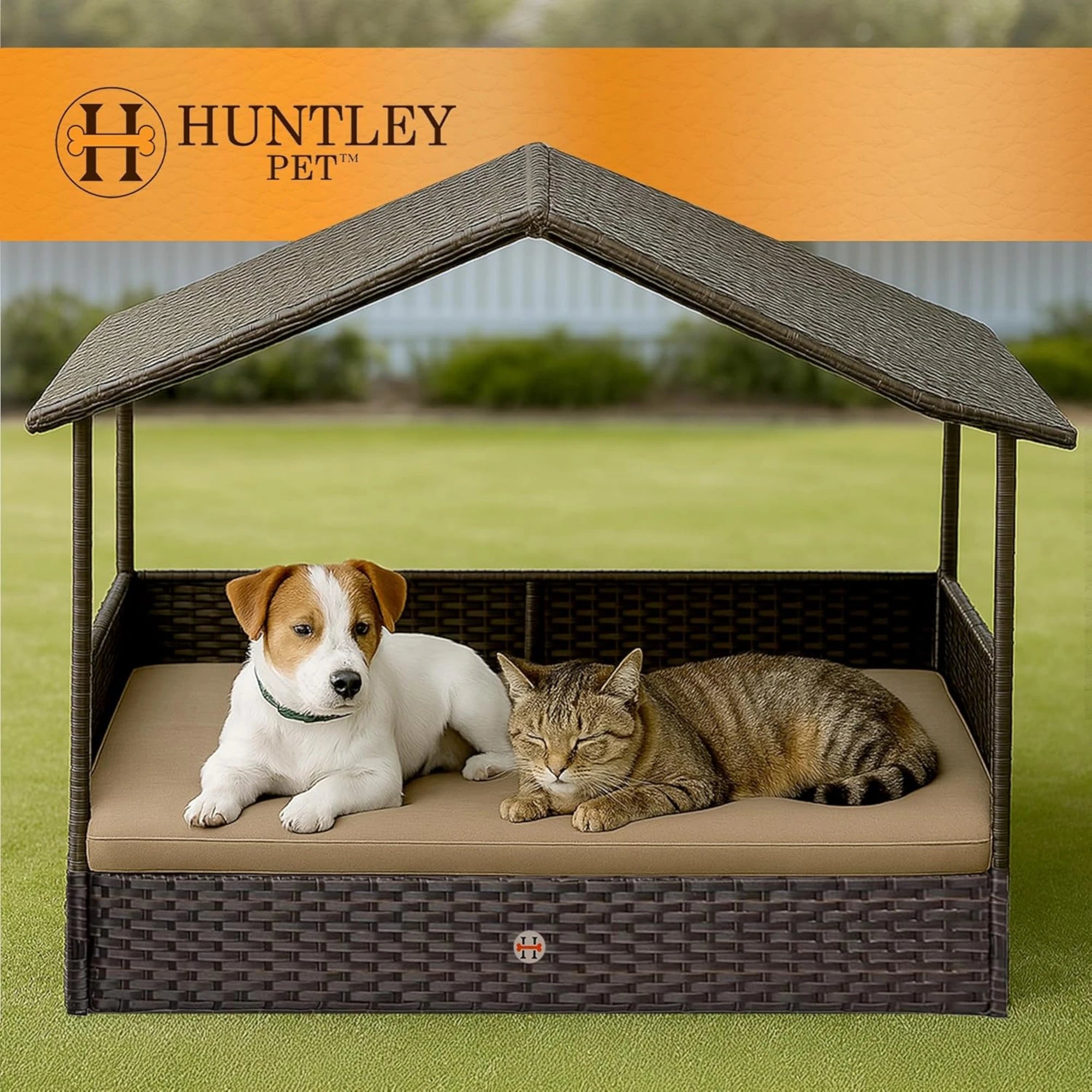 Huntley Pet Rattan Wicker Cabana Raised Pet Bed | Novaselectes