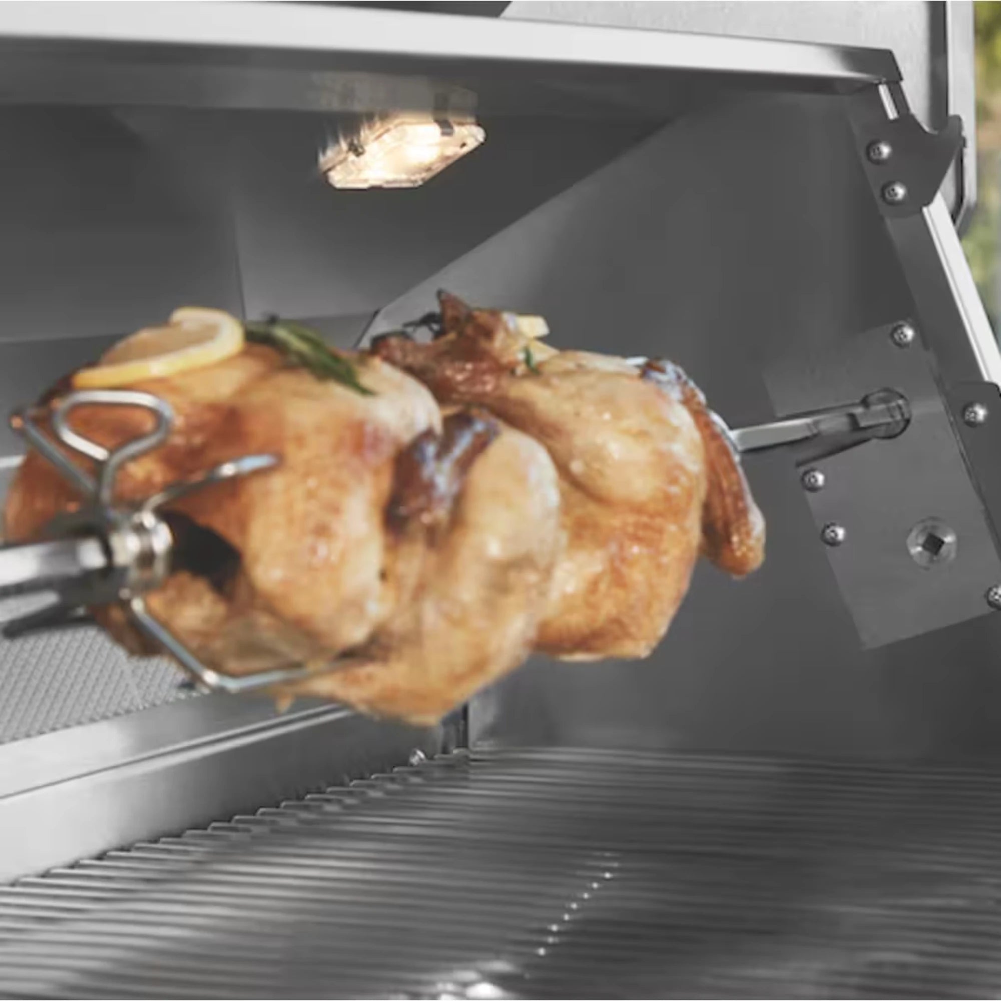 Twin Eagles 42" Gas Built-In Grill | Novaselectes