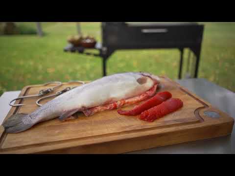 Tagwood BBQ03SI Freestanding Santa Maria Argentine Charcoal Grill | Novaselectes